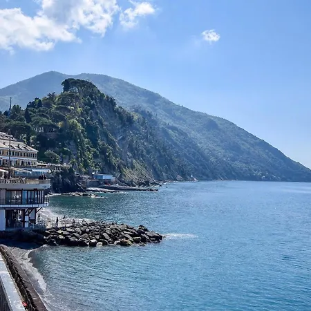 Gorgeous In With Kitchen Apartment Camogli
